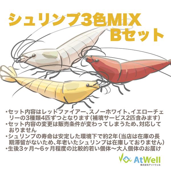 シュリンプ3色MIX Bセット 10匹(＋2匹補償サービス付き) : AtWell
