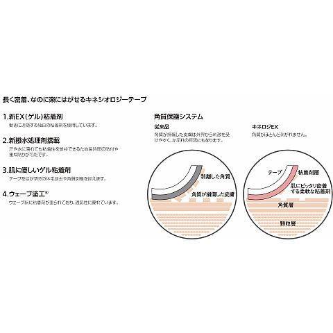 NITREAT[ニトリート]キネロジEX2.5cm 12巻入（KYS-NKEX25）[取寄商品]