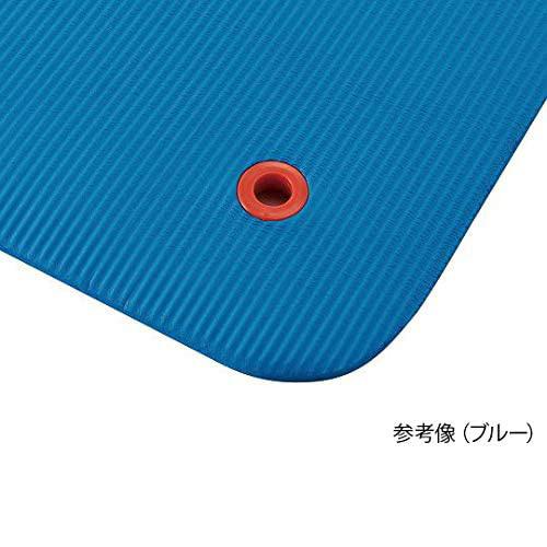DANNNO]ダンノ ストレッチマットEX 厚さ1.5cm (D7217B) ブルー[取寄