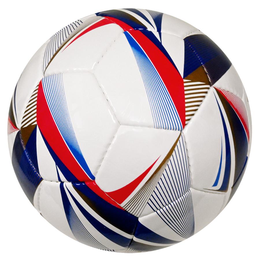 MIKASA（ミカサ） 手縫いサッカーボール 検定球5号 (FT528D-W