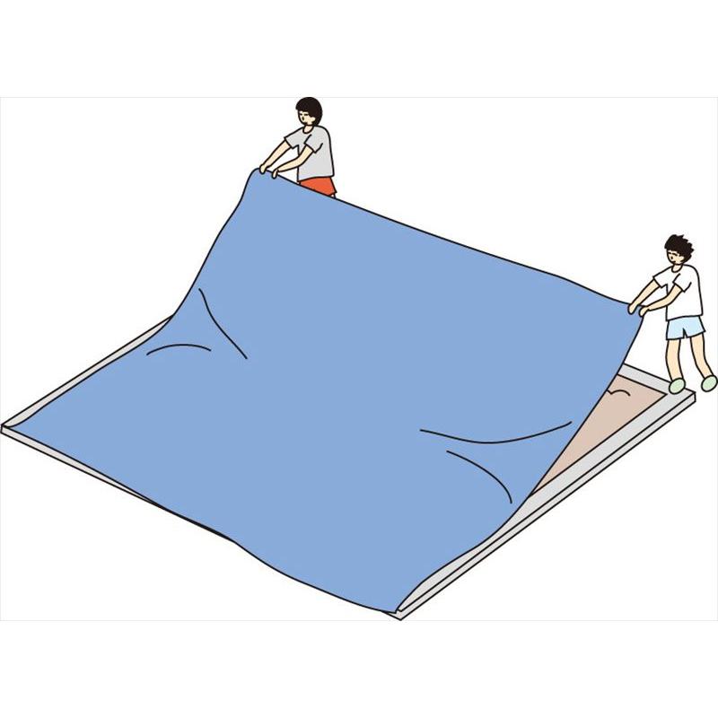 [TOEI LIGHT]トーエイライト スポーツシート10x10M (G-1389)[取寄商品]_2