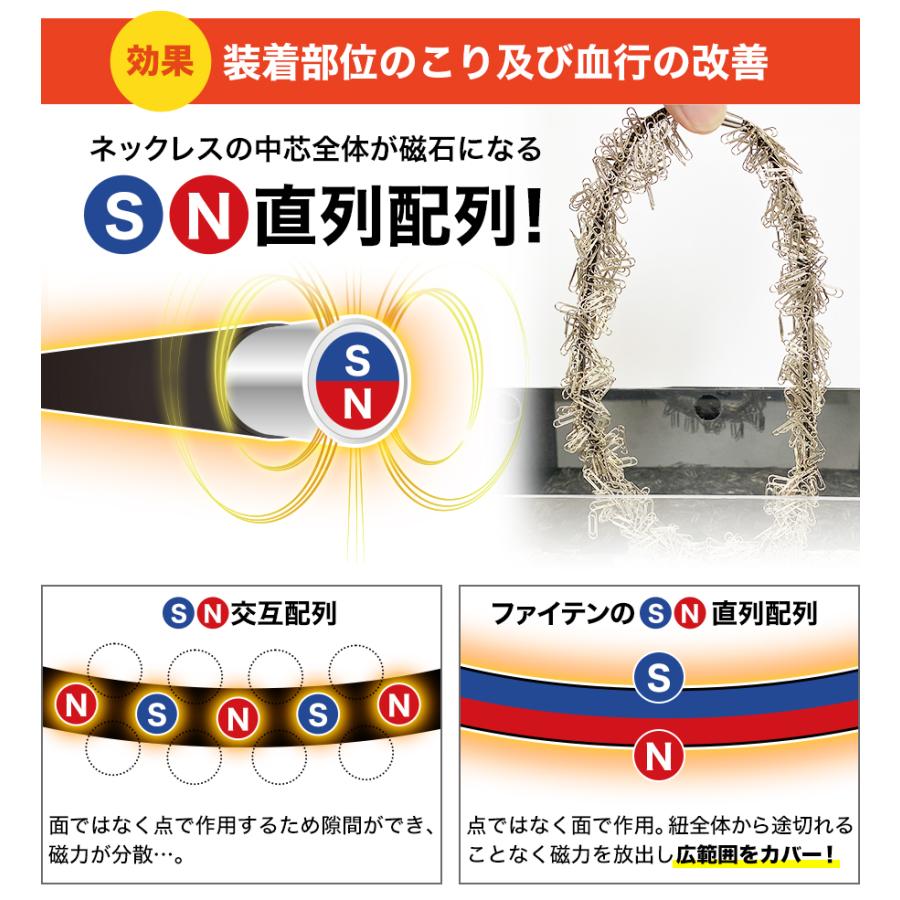 Phiten]ファイテン RAKUWA磁気チタンネックレス Rex(管理医療機器