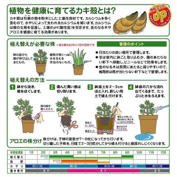 花ごころ 金のなる木アロエの土 5l 培養土 初めての方でも安心 そのまま使える 元肥入り 有機肥料入 園芸 ガーデニング 室内園芸 Aloe5l ガーデン屋 Yahoo 店 通販 Yahoo ショッピング