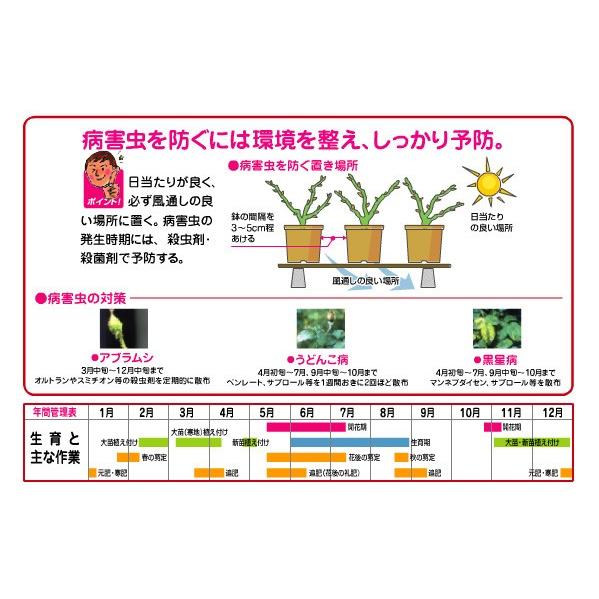 花ごころ バラの土 5l 初めての方でも安心 バラが丈夫に育つ土 元肥入り 培養土 ばら 薔薇 園芸用土 ガーデニング Baranotuchi5l ガーデン屋 Yahoo 店 通販 Yahoo ショッピング