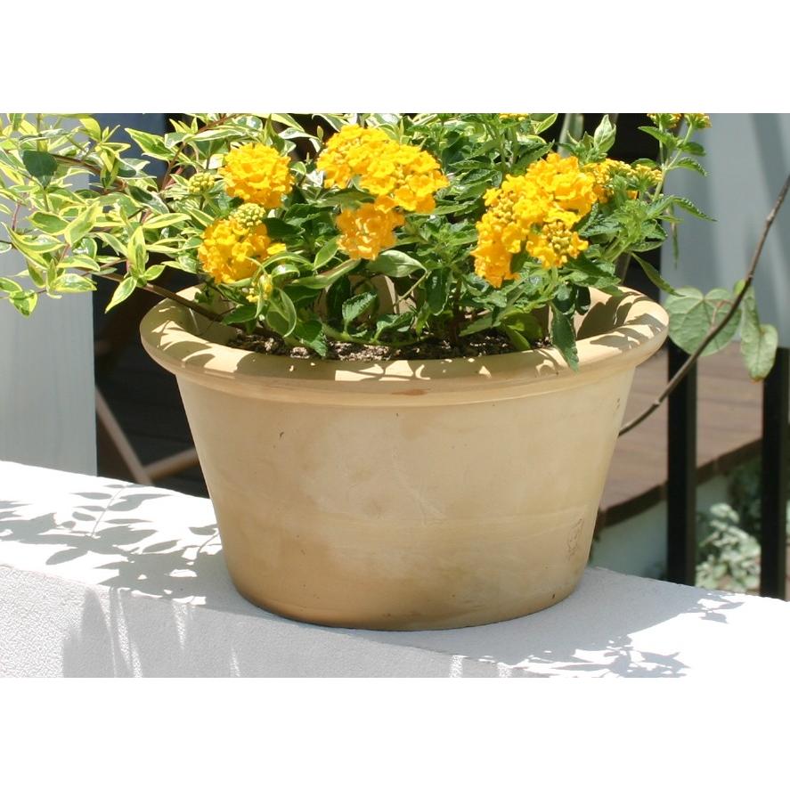 スペイン鉢 カリーナ 21cm ガーデニング 植木鉢 テラコッタ 素焼き鉢 浅鉢 園芸 ガーデニング 陶器鉢 かわいい スペイン鉢 Carina21 ガーデン屋 Yahoo 店 通販 Yahoo ショッピング