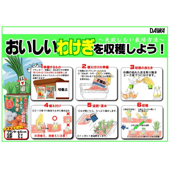 風味豊かに育ちます 玉ねぎ ネギ にんにくの肥料 4kg 大和 化成肥料 園芸 ガーデニング 家庭菜園 野菜 タマネギ Daiwa Negi4kg ガーデン屋 Yahoo 店 通販 Yahoo ショッピング
