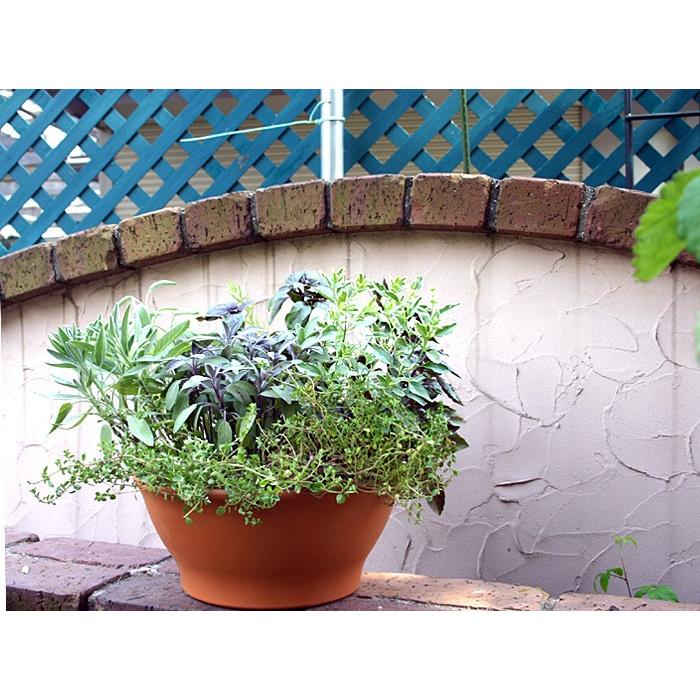 イタリア鉢 テラコッタ プランターボール 23cm スモールボール デローマ社 植木鉢 ポット苗の寄せ植えから球根まで 寄植え 輸入鉢 陶器鉢 Deroma Smallbowl 23cm ガーデン屋 Yahoo 店 通販 Yahoo ショッピング