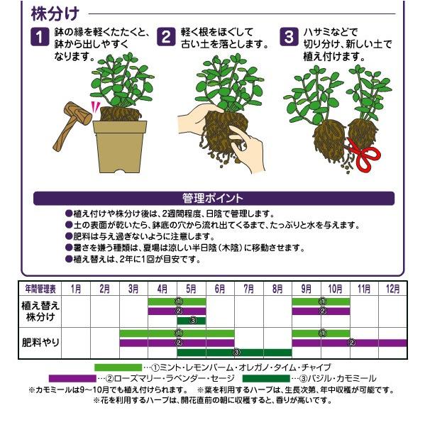 花ごころ ハーブ 香草の土 5l 培養土 初めての方でも安心 有機堆肥で育てる 元肥入り 園芸 ガーデニング カモミール ハーブ香草の土 110 Hab5l ガーデン屋 Yahoo 店 通販 Yahoo ショッピング