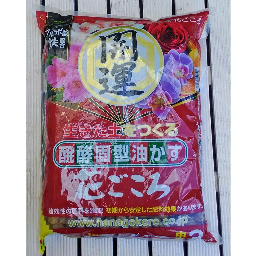 花ごころ 醗酵固型油かす 中粒 3kg 開運 油粕 寒肥 御礼肥 有機質肥料 自然の力を借りて 植物をすくすく育てる 園芸 ガーデニング Hanagokoro Chutubu 3kg ガーデン屋 Yahoo 店 通販 Yahoo ショッピング
