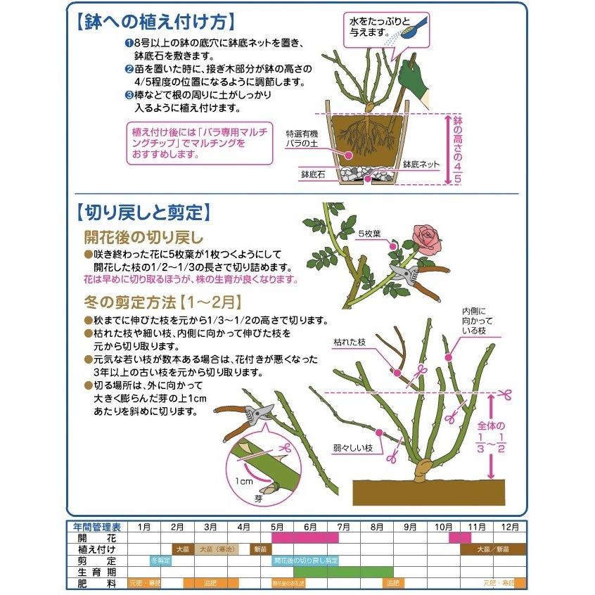 花ごころ 特選有機 バラの土 15l バイオキャッチ 有機質原料をタップリ使用 バラの性質に合わせた配合 元肥入り 培養土 ばら 薔薇 Hanagokoro Tokusen Bara 15l ガーデン屋 Yahoo 店 通販 Yahoo ショッピング