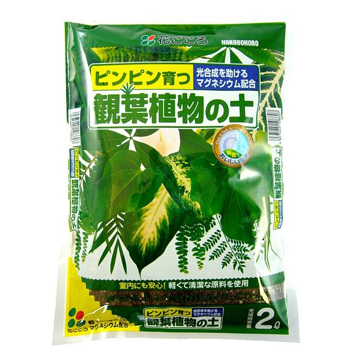 花ごころ 観葉植物の土 2l 初めての方でも安心 ピンピン育つ 元肥入り 培養土 園芸用土 ガーデニング用土 Kanyoutuchi2l ガーデン屋 Yahoo 店 通販 Yahoo ショッピング