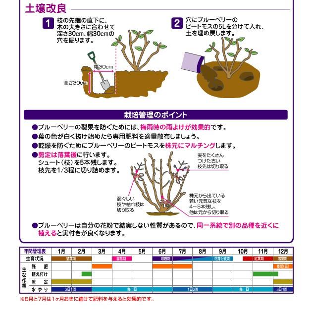 花ごころ ブルーベリーのピートモス 5l 土のリサイクルをサポート 土を酸性にする 果樹 土壌改良 園芸 ガーデニング Peet5l ガーデン屋 Yahoo 店 通販 Yahoo ショッピング