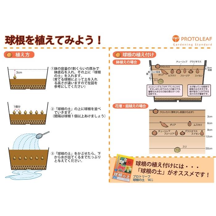 プロトリーフ 球根の土 14l ユリ チューリップ スイセンはこの土で 安心 安全で使いやすい 培養土 園芸 ガーデニング Proto Kyukonnotuchi 14l ガーデン屋 Yahoo 店 通販 Yahoo ショッピング