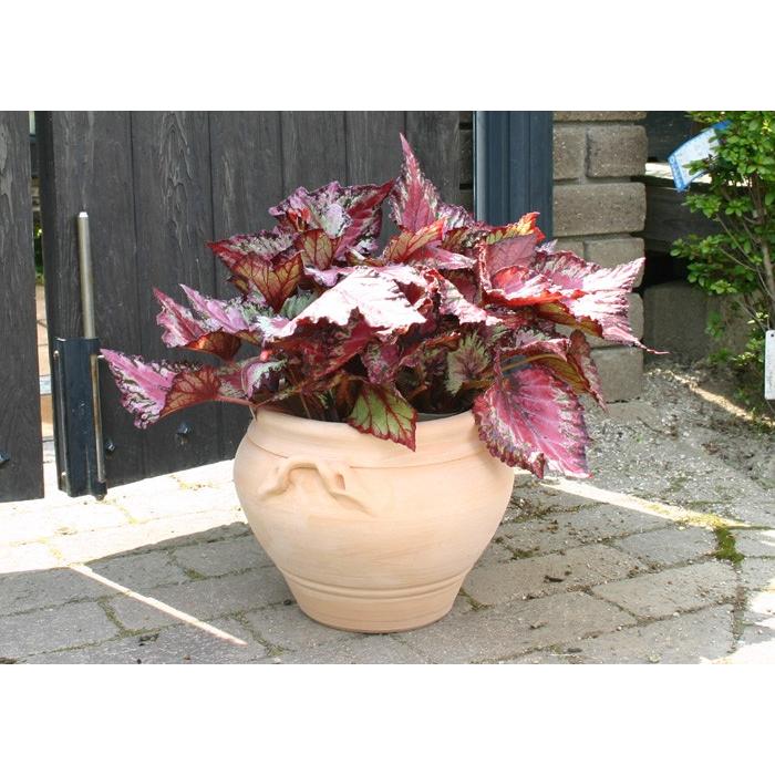 代引不可 スペインから直輸入 スペイン製 テラコッタ ダイアナ 35cm 大型 植木鉢 スペイン鉢 おしゃれ 素焼き鉢 陶器鉢 園芸 ガーデニング 手作り鉢 937 最新の激安 Zoetalentsolutions Com