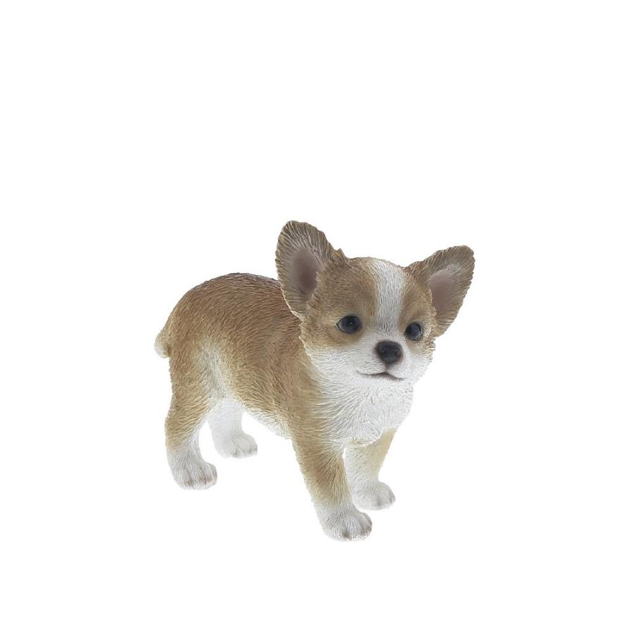 紅石 アニマル チワワ Qy 142 13cm 可愛いチワワ オーナメント いぬグッズ 犬 置物 インテリア 庭 玄関先 ガーデニング ガーデン 雑貨 ナチュラル雑貨 Yorkshar Qy 142 ガーデン屋 Yahoo 店 通販 Yahoo ショッピング