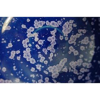 dch-31  群青天目茶碗 抹茶茶碗 文部大臣奨励賞受賞作家 荒川明作 木箱付きの画像