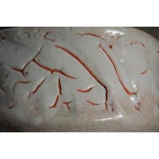 ech-1  薪窯 志野焼 抹茶茶碗 文部大臣奨励賞受賞作家　荒川明作 木箱付き_4