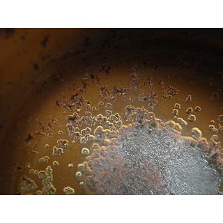 jgu-8  茜華天目釉　おちょこ ぐいのみ　文部大臣奨励賞受賞作家　荒川明作 木箱付き_5