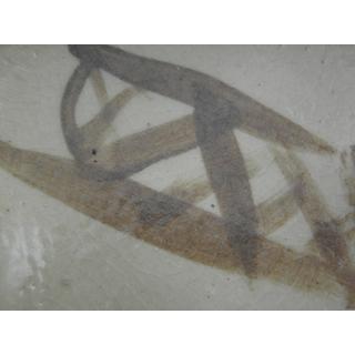 mkoha-9  唐津 小鉢2ヶセット 文部大臣奨励賞受賞作家 荒川明作 紙箱付の画像