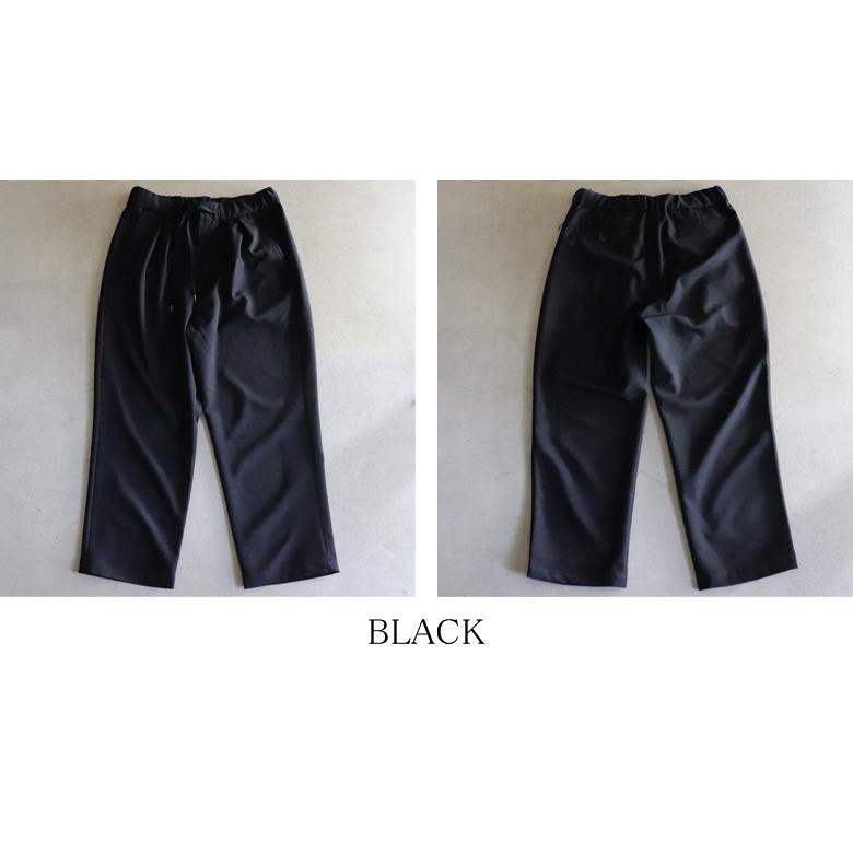オーディエンス Audience 2タック イージーワイドパンツ ナチュレミア ウールライク Naturemier 日本製 AUD3578 | Audience | 18