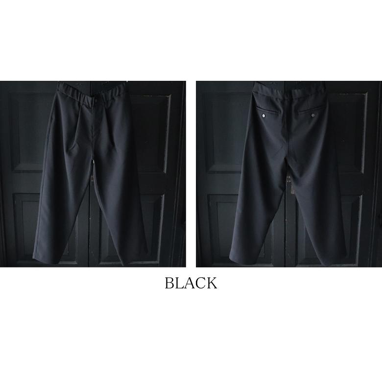 オーディエンス Audience 1タック ワイド イージーパンツ ナチュレミア リネンライクトロピカル Naturemier 日本製 AUD3579 | Audience | 19