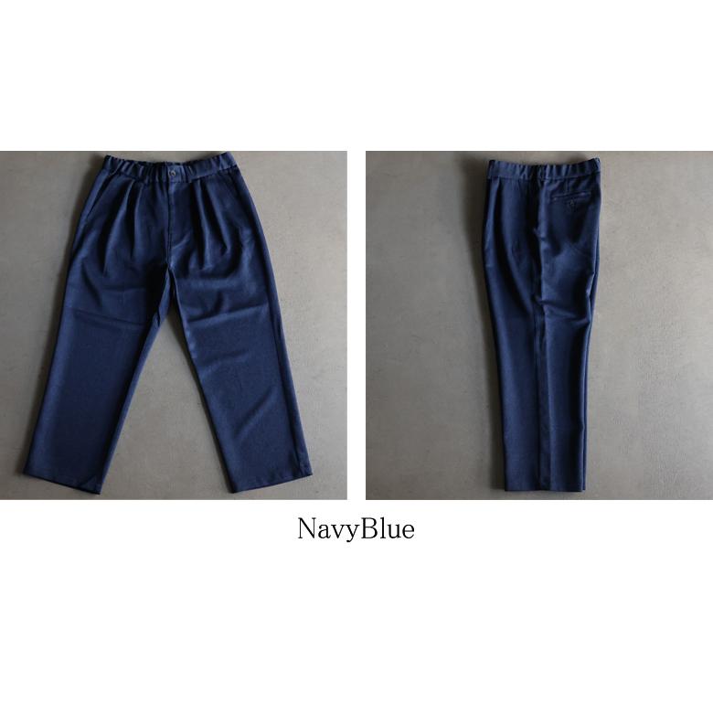 オーディエンス Audience 2タック イージー ワイドパンツ ナチュレミア メランジトロツイル Naturemier TECH 日本製 AUD3607 | Audience | 15