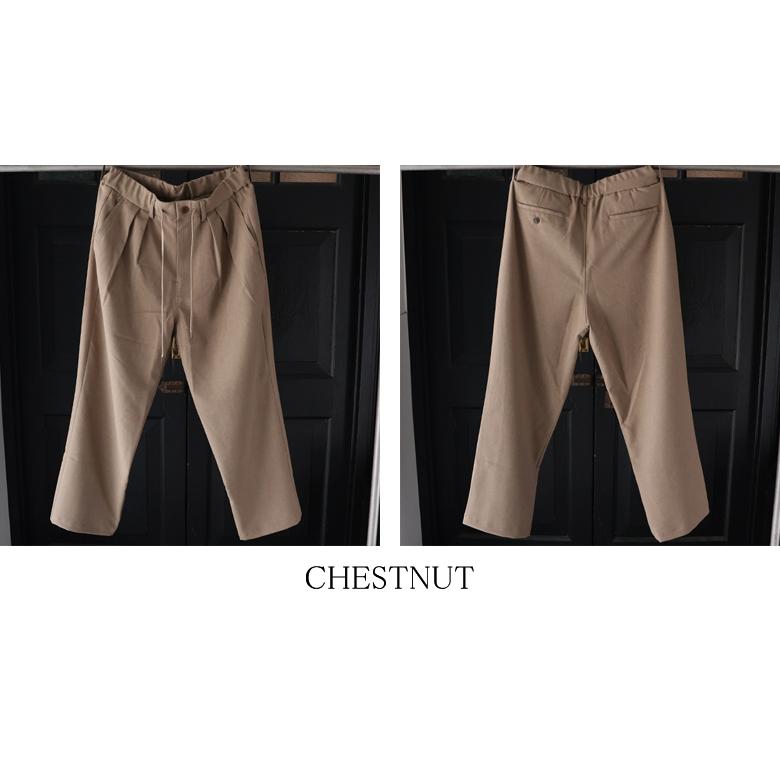 オーディエンス Audience  2タック ワイド イージーパンツ Naturemier TM TECH ナチュレミア リネンライク トロワッシャー 日本製 AUD3626 | Audience | 17