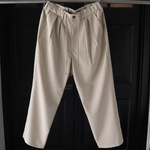 オーディエンス Audience  2タック ワイド イージーパンツ Naturemier TM TECH ナチュレミア リネンライク トロワッシャー 日本製 AUD3626 | Audience | 05