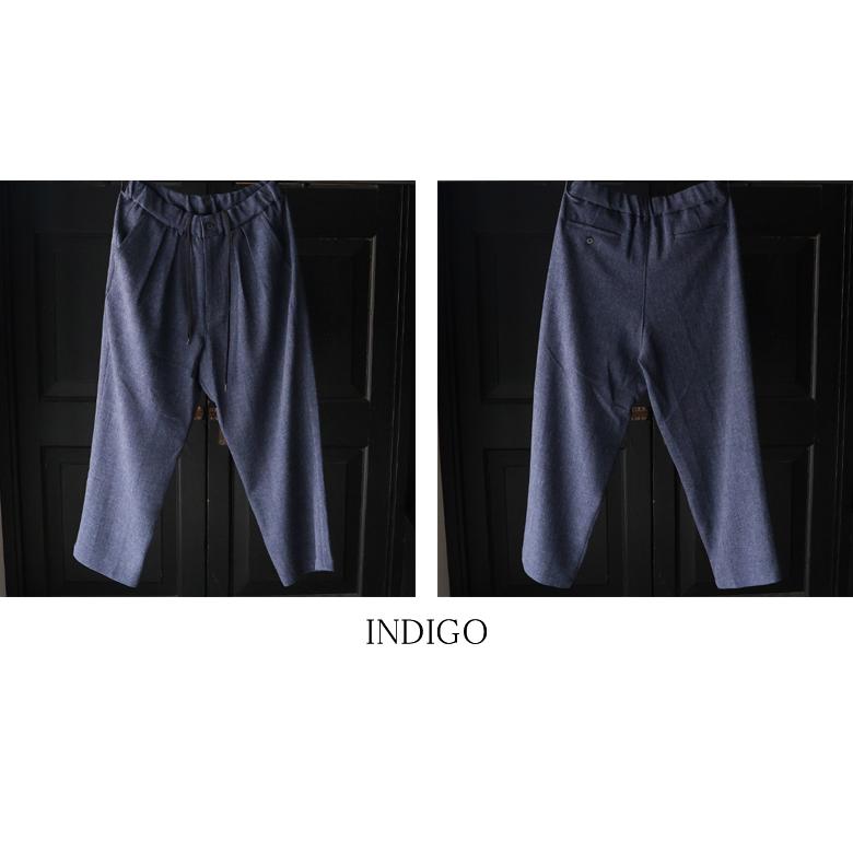 オーディエンス Audience 2タック ワイド イージーパンツ Naturemier TM ナチュレミア TECH リネンライク メランジツイル 日本製 AUD3628 | Audience | 18