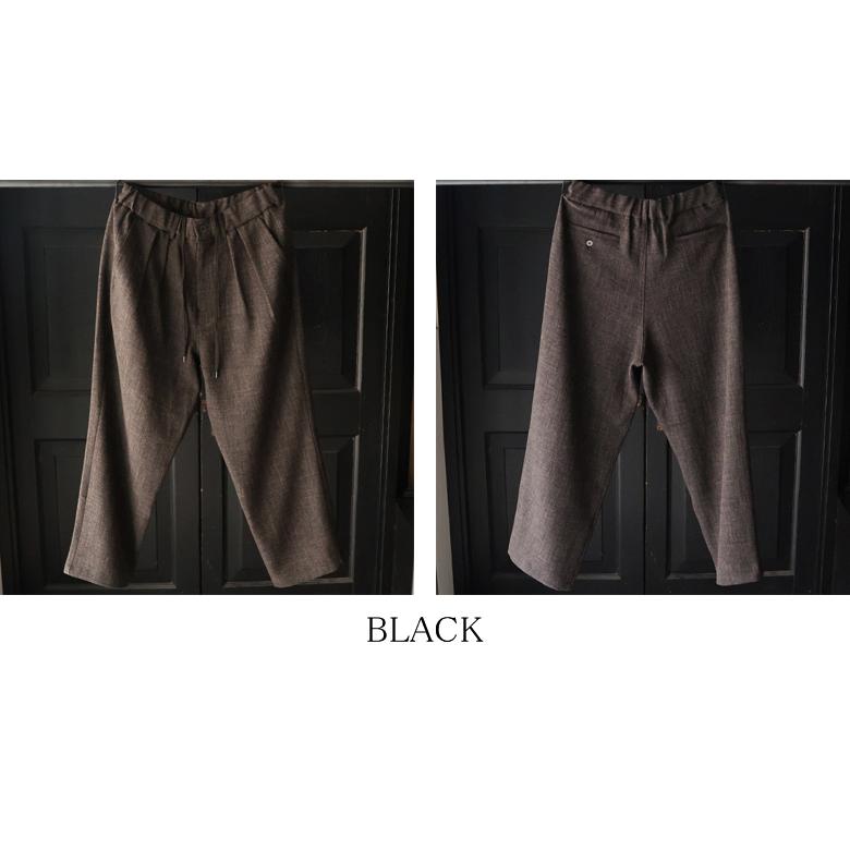 オーディエンス Audience 2タック ワイド イージーパンツ Naturemier TM ナチュレミア TECH リネンライク メランジツイル 日本製 AUD3628 | Audience | 19