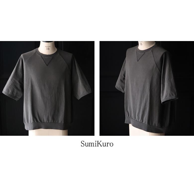 オーディエンス Audience  Tシャツ ハーフスリーブ ピグメント 米綿 USAコットン ガゼット バルーン ラグラン  16/-天竺  8.45オンス  メンズ AUD6712 | Audience | 18