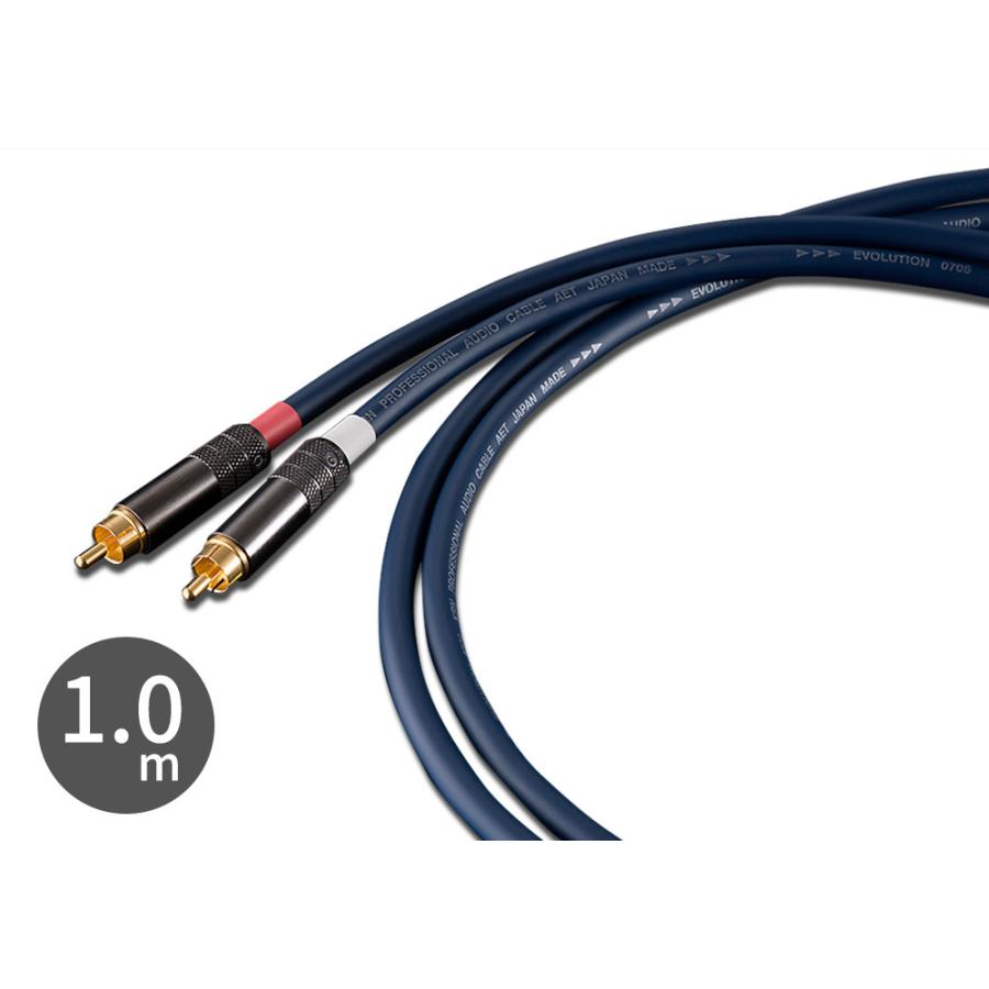 AET - EVO-0706KRN/RCA/1.0m（RCAケーブル/ペア）
