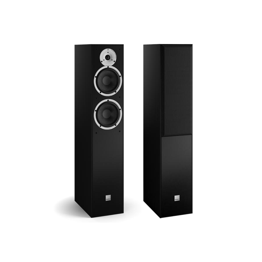 SPEKTOR DALI - SPEKTOR6/ブラックアッシュ（1本）トールボーイ