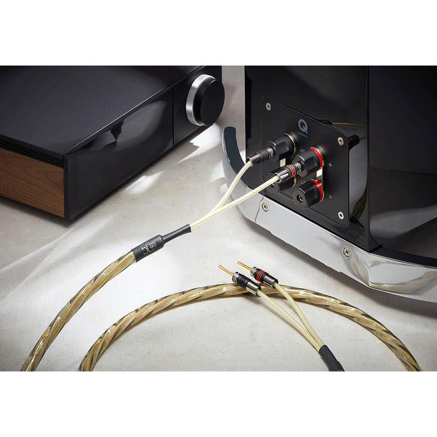 自作 QED REFERENCE GOLDEN ANNIVERSARY XT QED Golden Anniversary XT review: well-made speaker cable