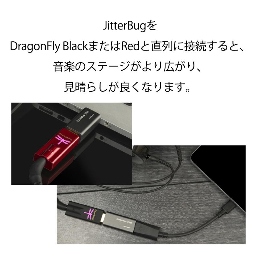 audioquest - JitterBug FMJ（JitterBug Full Metal Jacket）（USB