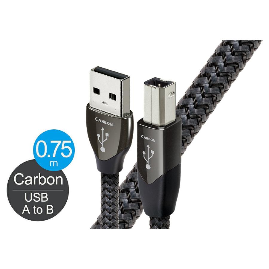 AudioQuest USBケーブル USB2/CAR/0.75M 中古美品 audioquest（オーディオ クエスト） audioquest - USB2 CARBON/0.75m