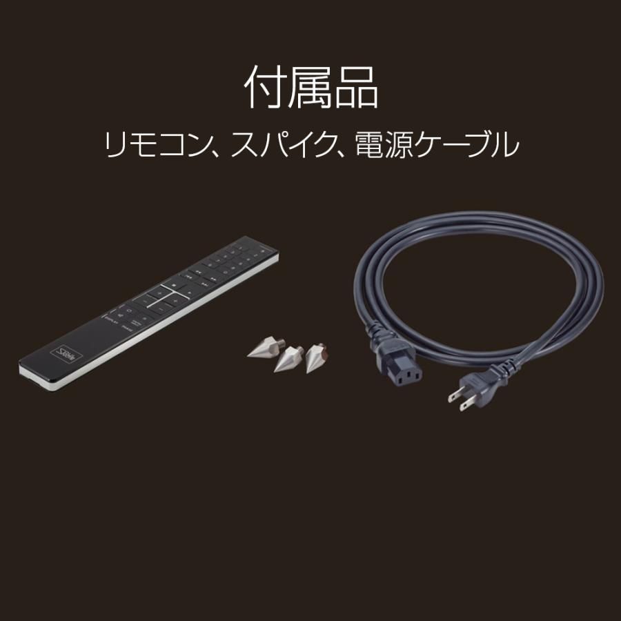 SOULNOTE（ソウルノート） SOULNOTE - A-2 Ver.2/プレミアム・シルバー