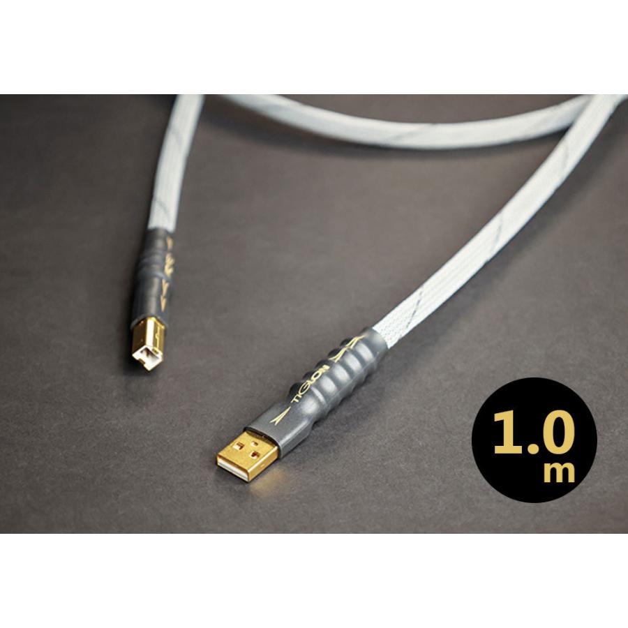 TIGLON TPL-2000U 1.0m（USBケーブル・端子