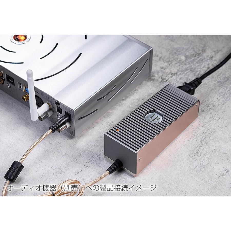 iFi audio - iPower Elite 5V(超ローノイズ大容量ACアダプター iFi audio - iPower Elite 5V(超ローノイズ大容量ACアダプター