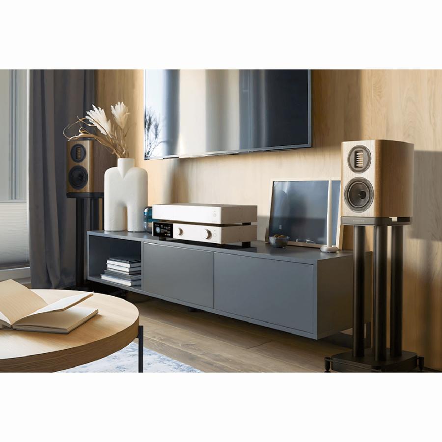 WHARFEDALE（ワーフェデール） Wharfedale - Evo5.1/ウォールナット