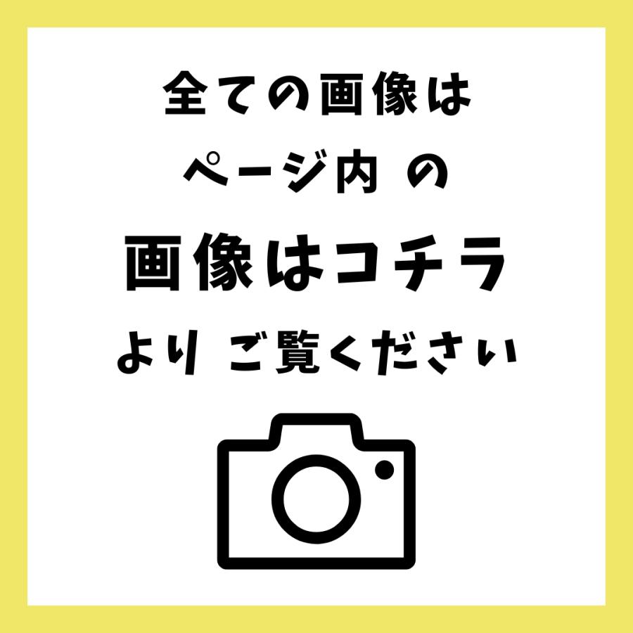 ◇大感謝祭!!◇レストア整備済◇DIATONE DS-500/ds500