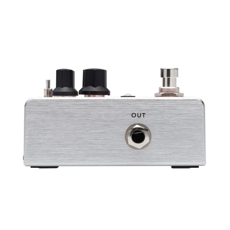 FISHMAN AFX-REVERB フィッシュマン　リバーブ Fishman AFX Reverb - エフェクター専門店【EffectorShop.com】