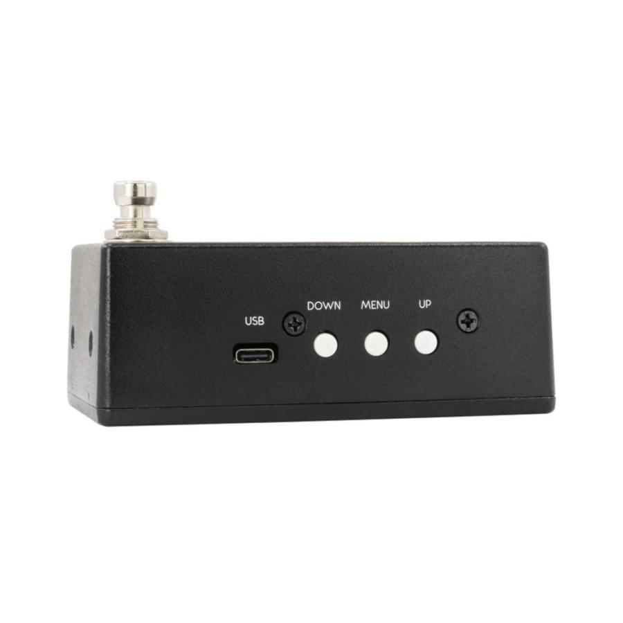 Walrus Audio ウォルラスオーディオ Canvas Tuner│直輸入品_6