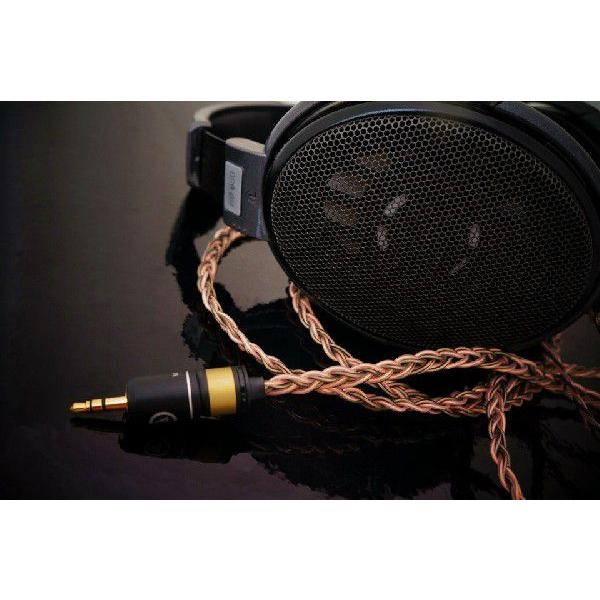 Whiplash Audio ウィプラッシュ オーディオ TWag V3 and TWcu V3 Hybrid Sennheiser HD25-1 リケーブル 交換用ケーブル