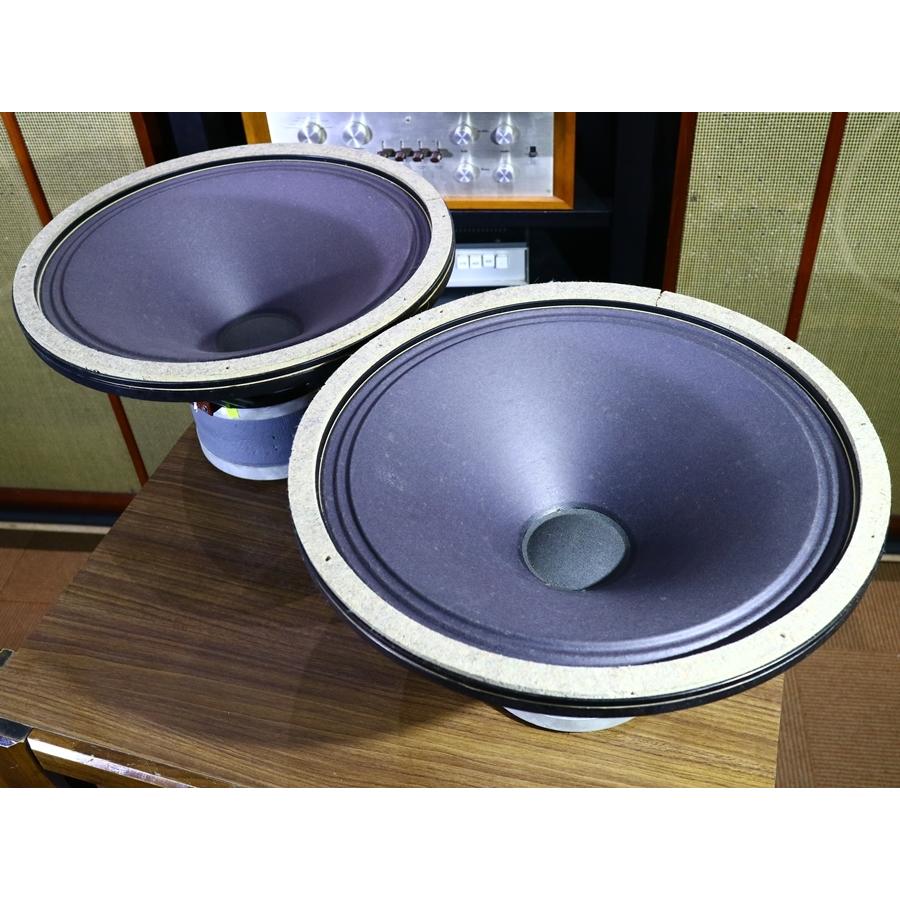 SIEMENS C72233-A22-A1 15インチ オイロダイン搭載 VAC アルニコ