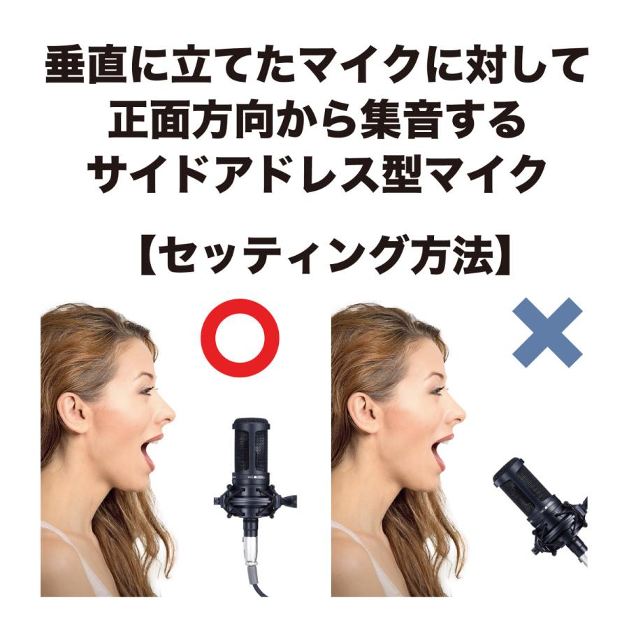 AT2020 AT8175 セット売り コンデンサーマイク ポップフィルター オーディオテクニカ audio-technica AT2020 + ポップフィルター