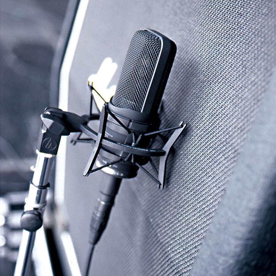 オーディオテクニカ（audio-technica） AT4050 マルチパターン