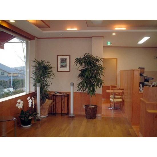 TIMEDOMAIN タイムドメイン スピーカー Yoshii9（ヨシイナイン