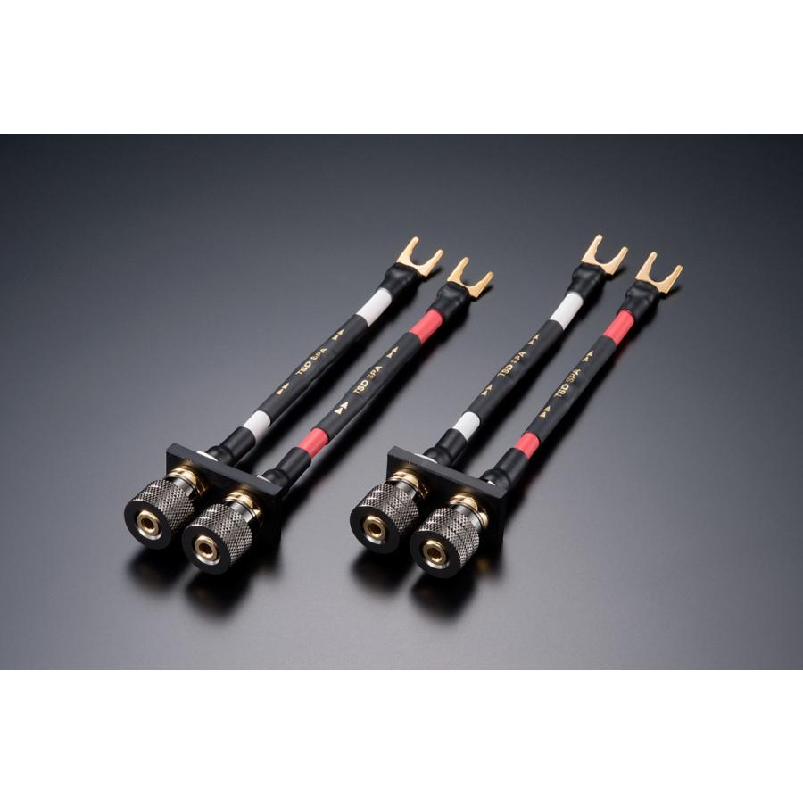 AET エーイーティー スピーカーケーブル用スタビライザー TSD-SPA Y  