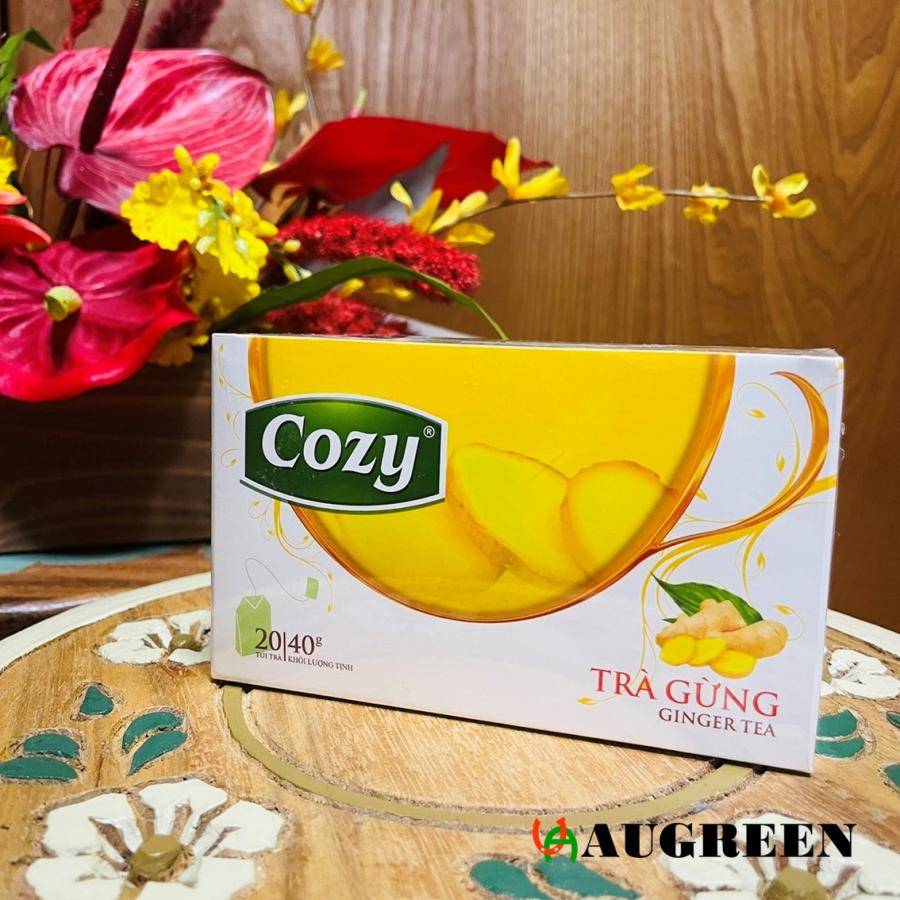 ベトナム産生姜茶 Cozy ティーバッグ20袋入 健康 ジンジャーティー 温活 生姜湯 冷え改善 ダイエット 無糖 茶 紅茶 GINGER TEA |  | 04